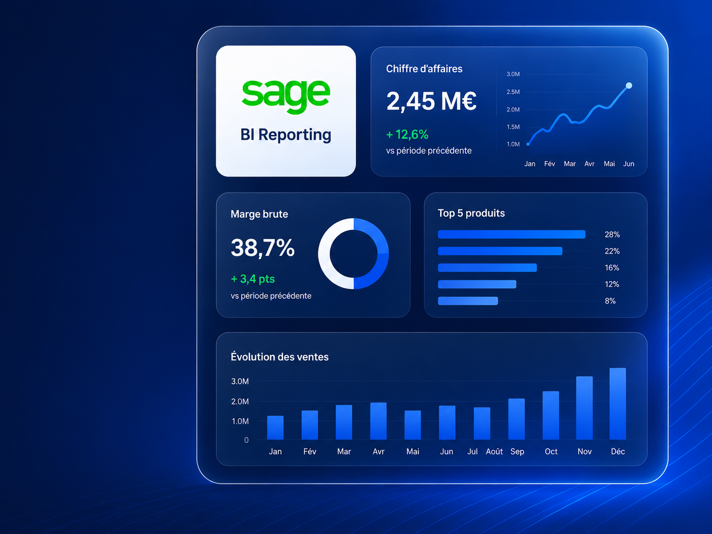 Tableau de bord Sage BI Reporting pour le pilotage des données d’entreprise